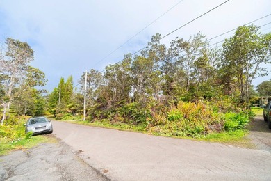 Build your dream retreat on this wooded flag lot on a paved - photo 4