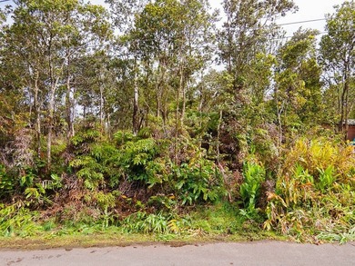 Build your dream retreat on this wooded flag lot on a paved - photo 5