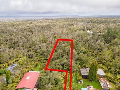 Build your dream retreat on this wooded flag lot on a paved - photo 6