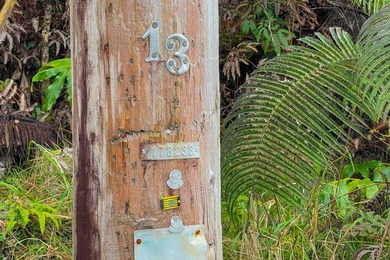 Build your dream retreat on this wooded flag lot on a paved - photo 7