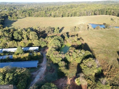 Lake Acreage For Sale in Woodstock, Georgia