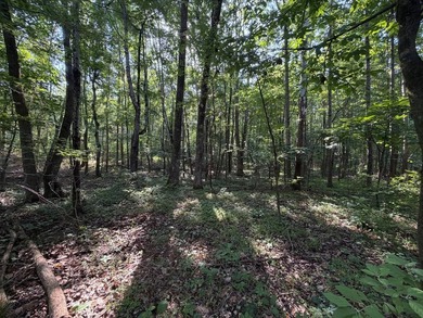 Discover the perfect blend of homesite potential, recreation - photo 12