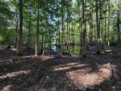 Discover the perfect blend of homesite potential, recreation - photo 13