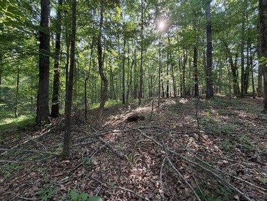 Discover the perfect blend of homesite potential, recreation - photo 14