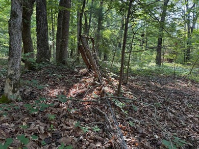 Discover the perfect blend of homesite potential, recreation - photo 15