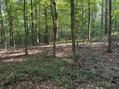 Discover the perfect blend of homesite potential, recreation - photo 16