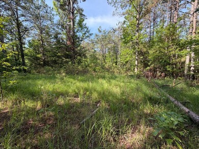 Discover the perfect blend of homesite potential, recreation - photo 17