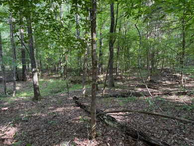 Discover the perfect blend of homesite potential, recreation - photo 19