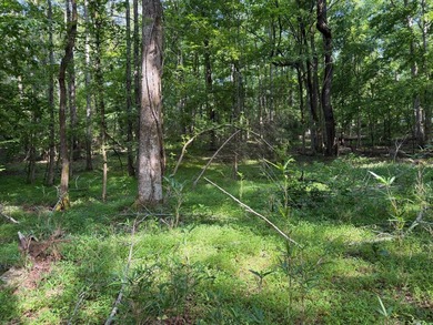 Discover the perfect blend of homesite potential, recreation - photo 21