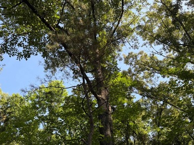 Discover the perfect blend of homesite potential, recreation - photo 25