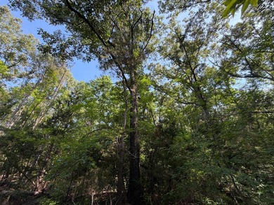 Discover the perfect blend of homesite potential, recreation - photo 27