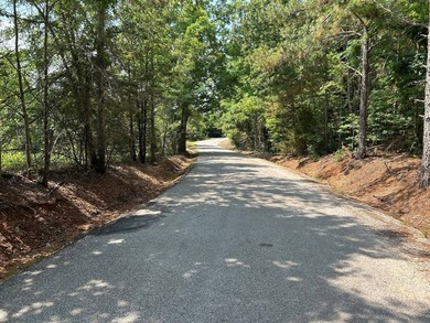 Discover the perfect blend of homesite potential, recreation - photo 29