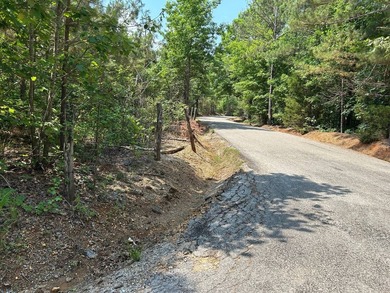 Discover the perfect blend of homesite potential, recreation - photo 30