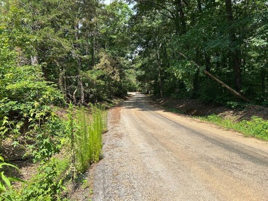 Discover the perfect blend of homesite potential, recreation - photo 31
