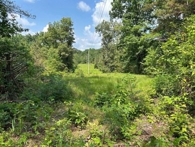 Discover the perfect blend of homesite potential, recreation - photo 32