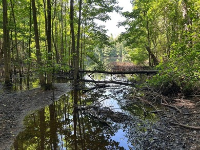 Discover the perfect blend of homesite potential, recreation - photo 34
