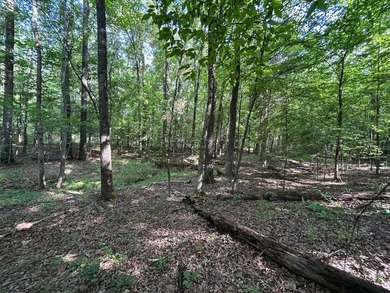 Discover the perfect blend of homesite potential, recreation - photo 35