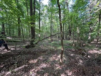 Discover the perfect blend of homesite potential, recreation - photo 36