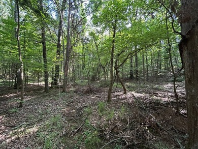 Discover the perfect blend of homesite potential, recreation - photo 37