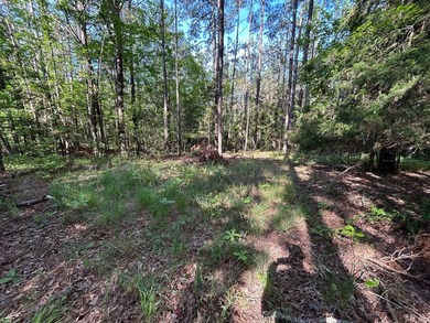 Discover the perfect blend of homesite potential, recreation - photo 38