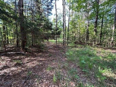 Discover the perfect blend of homesite potential, recreation - photo 39