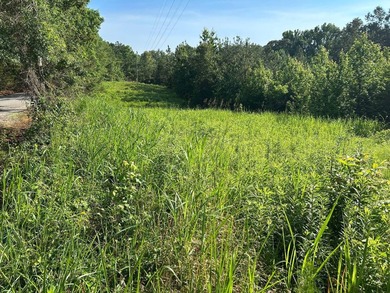 Discover the perfect blend of homesite potential, recreation - photo 40
