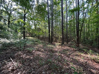 Discover the perfect blend of homesite potential, recreation - photo 41