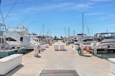 A beautiful 45' liveaboard slip at Oceanside Marina in Oceans - photo 2