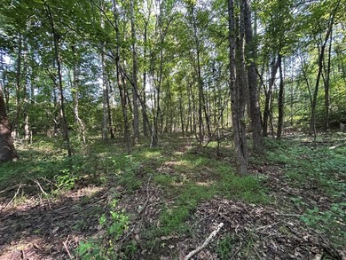 Discover the perfect blend of homesite potential, recreation - photo 42