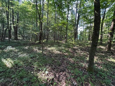 Discover the perfect blend of homesite potential, recreation - photo 43