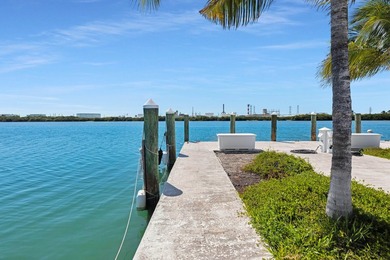 A beautiful 45' liveaboard slip at Oceanside Marina in Oceans - photo 4