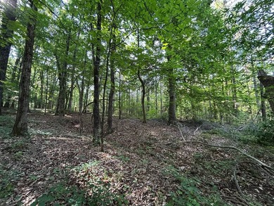 Discover the perfect blend of homesite potential, recreation - photo 44