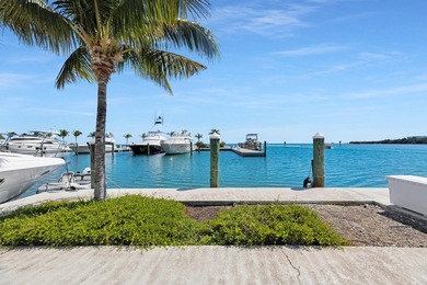 A beautiful 45' liveaboard slip at Oceanside Marina in Oceans - photo 5