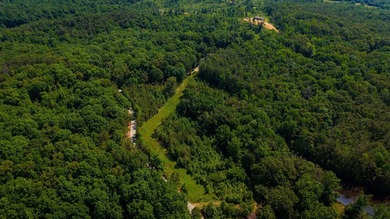 Discover the perfect blend of homesite potential, recreation - photo 45
