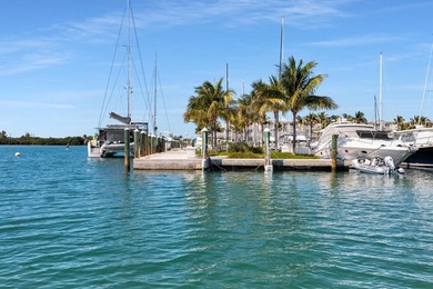 A beautiful 45' liveaboard slip at Oceanside Marina in Oceans - photo 6