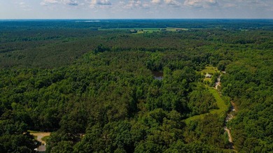 Discover the perfect blend of homesite potential, recreation - photo 46
