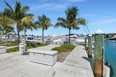 A beautiful 45' liveaboard slip at Oceanside Marina in Oceans - photo 10