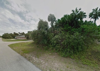 Beautiful lot in North Port. This lot may qualify for up to 90% - photo 3