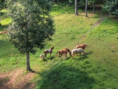 Lake Blue Ridge Home For Sale in Morganton Georgia