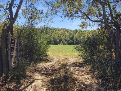An equestrian dream! This gorgeous 50 +/- acre property has it - photo 27