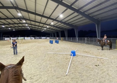 An equestrian dream! This gorgeous 50 +/- acre property has it - photo 31