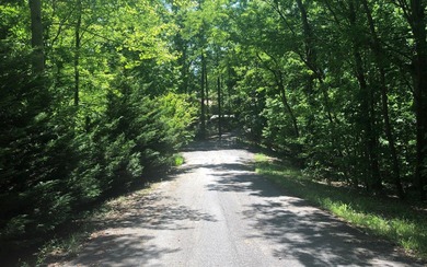 Nottely River Lot For Sale in Blairsville Georgia