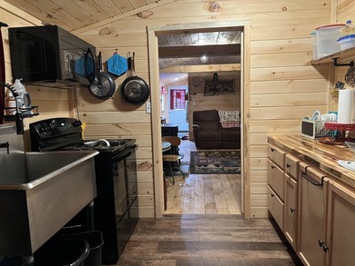 New in 2023 is this Adirondack camp located at 33 Dogwood Street - photo 19