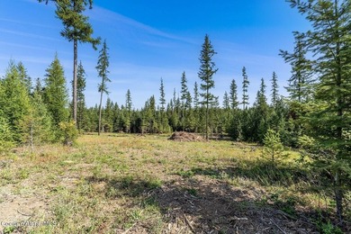 Set on five private, lightly wooded acres in The Estates at - photo 20