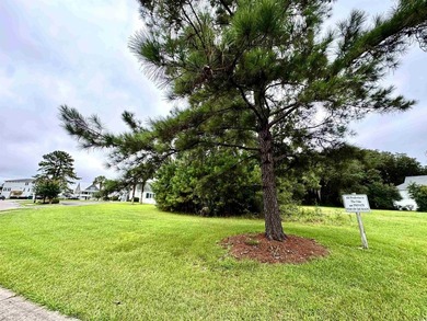 Waccamaw River Lot For Sale in Georgetown South Carolina