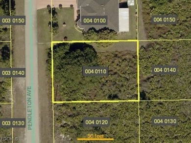 Lehigh Acres Area Lot Sale Pending in Lehigh Acres Florida