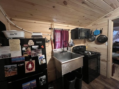 New in 2023 is this Adirondack camp located at 33 Dogwood Street - photo 24