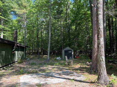 New in 2023 is this Adirondack camp located at 33 Dogwood Street - photo 31
