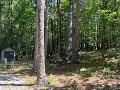 New in 2023 is this Adirondack camp located at 33 Dogwood Street - photo 33