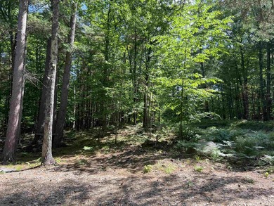 New in 2023 is this Adirondack camp located at 33 Dogwood Street - photo 35
